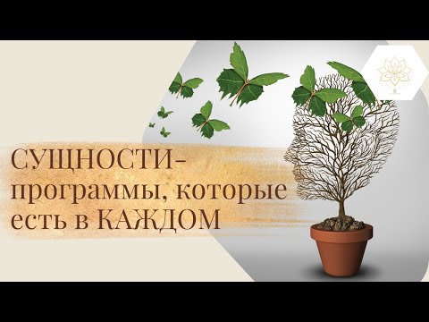 Видео: СУЩНОСТИ-программы, которые есть в каждом — они питаются нашей энергией | Как от них избавиться?