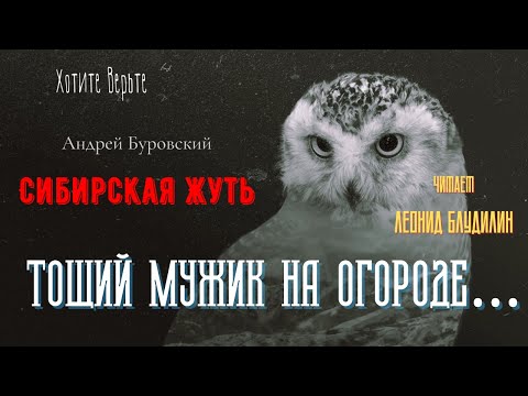 Видео: Сибирская Жуть: ТОЩИЙ МУЖИК НА ОГОРОДЕ… (автор: Андрей Буровский).