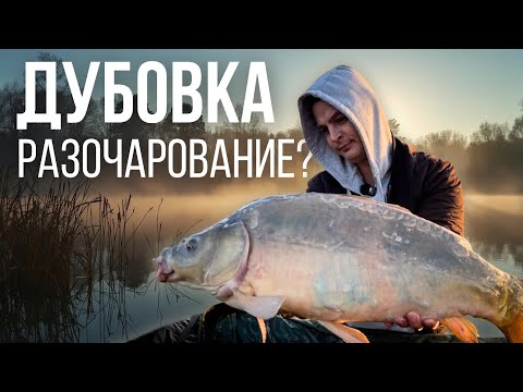 Видео: Что не так с этим водоёмом? Двое суток на рыбалке 