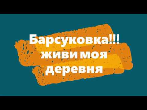 Видео: " Барсуковка"  Живи,живи моя деревня