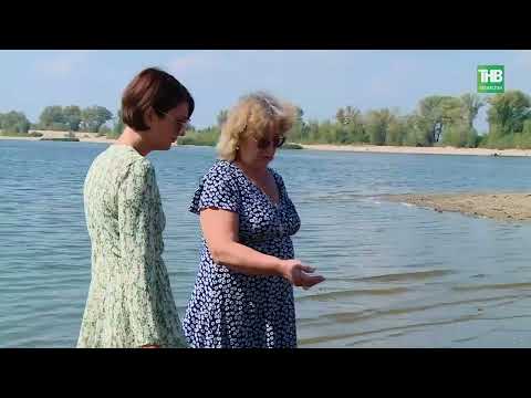 Видео: Волги как реки больше нет, есть большое грязное озеро, которое, превратили в сточную канаву