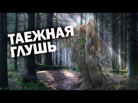 Видео: 💥Бабулька кормила лесное существо, а оказалось что это...