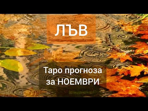 Видео: ЛЪВ ♌ Таро🍁НОЕМВРИ 2024 #tarot #рийдинг #хороскоп #tarotreader #лъв #tarotreading