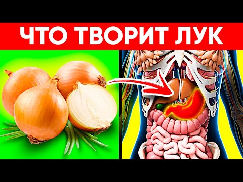 Видео: Врачи Уминают За Обе Щеки! Вот Что Творит Обычный Лук! Реальная Польза и Вред Репчатого Лука
