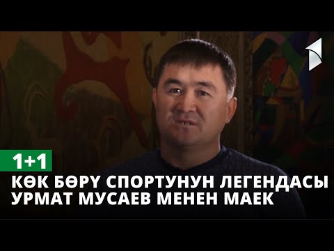 Видео: 1+1 | Көк бөрү спортунун легендасы Урмат Мусаев менен маек