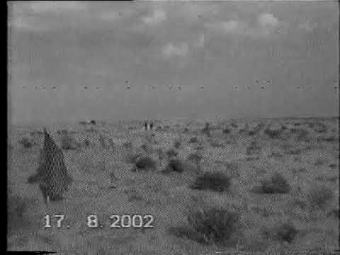 Видео: Ат шабыс Қызыласкер 2002 жыл