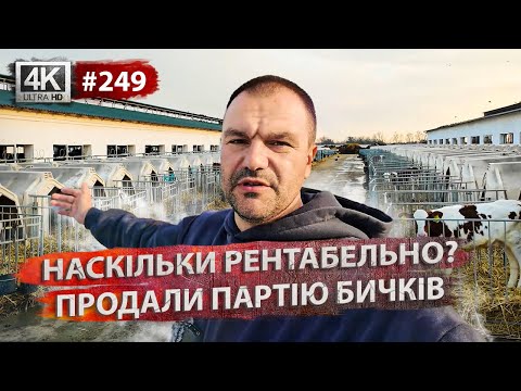 Видео: Рентабельність ферми💸Підготовка до корів🐮Плани на майбутнє