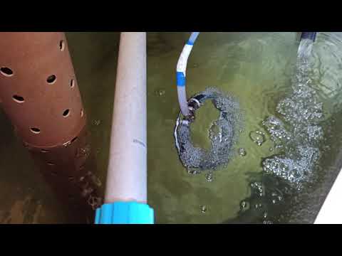 Видео: Установил кормушку и камеру