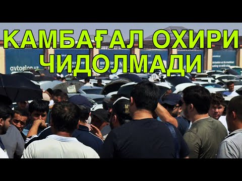 Видео: Камбағал яна камбағал булавермайди! Бир кун бой бшлади! Тико нархлари 25 октябрь  2025 