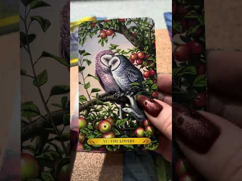 Видео: Это ваша СУДЬБА 🥠 