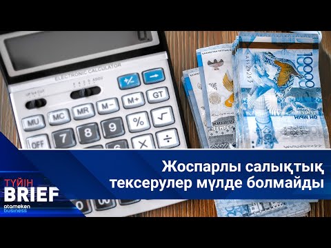 Видео: Жоспарлы салықтық тексерулер мүлде болмайды | BRIEF.Түйін
