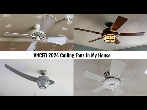 Видео: Спецвыпуск #NCFD: Потолочные вентиляторы в моем доме 2024