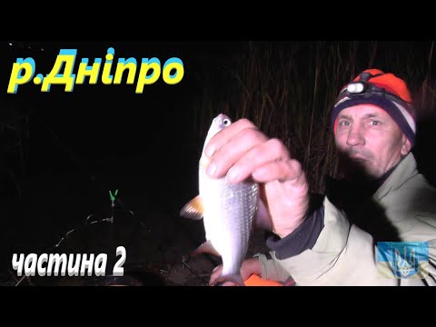 Видео: Плітка в кінці жовтня на Дніпрі # частина друга #РибачуЯкУмію