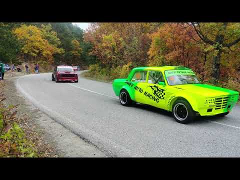 Видео: Планинско Българка 2024