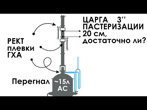 Видео: Царга пастеризации прощает косяки браги?! Проверяю на короткой ЦП!? ГХА ректплевков с трех точек!