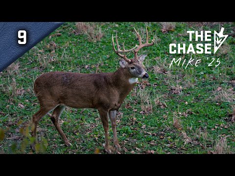 Видео: 31 октября 2025: Ноябрь уже здесь! Последняя охота Майка в октябре
