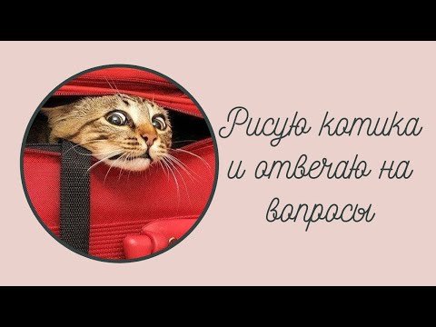 Видео: Как нарисовать кота акварелью?