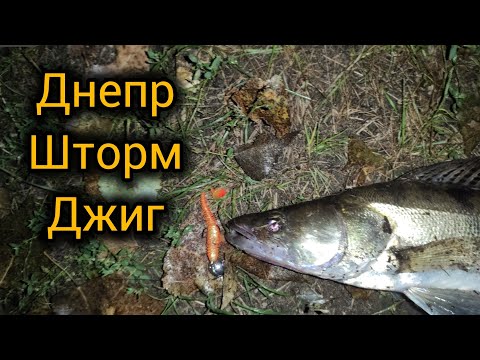 Видео: Судак на джиг на Днепре в шторм