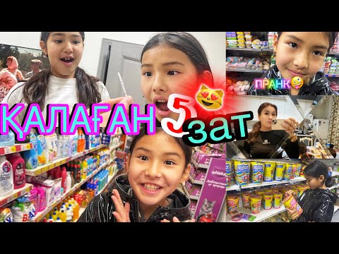 Видео: ҚАЛАҒАН “5”ЗАТ🤭/АМИНА ЖЫЛАП ҚАЛДЫ🥲#челлендж