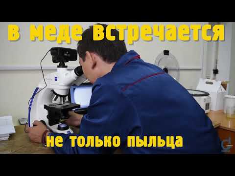 Видео: Географическое происхождение меда