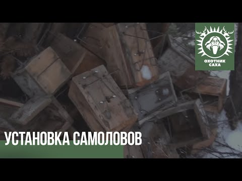 Видео: Установка самоловов, охота на соболя