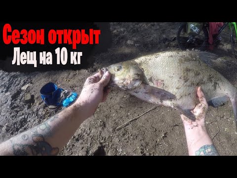 Видео: Открыл Сезон 2025 по рыбалке на Леща на фидер р.Белая место Мелькомбинат