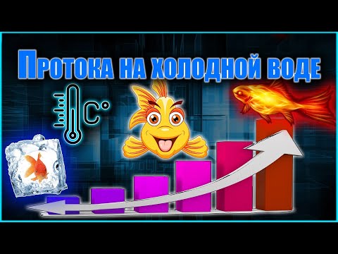 Видео: Протока в сезон отключения горячей воды.