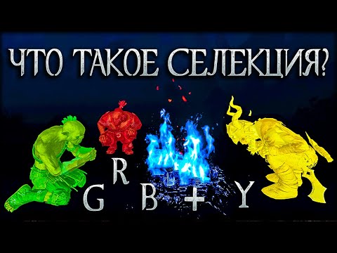 Видео: Как играть в Middle-earth: Shadow of War после СЮЖЕТА?