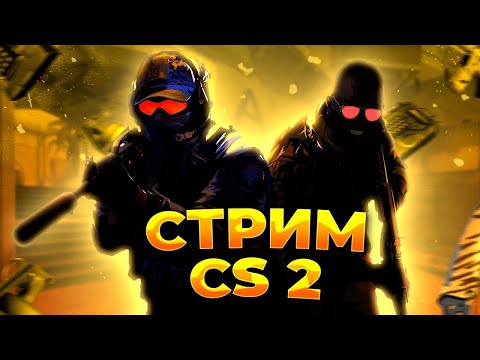 Видео: CS2 stream путь к 20k elo #shorts