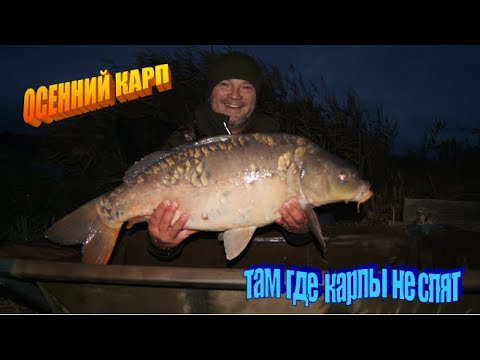 Видео: РЫБАЛКА на КАРПА в ОКТЯБРЕ. Водоем "БУХТА" - там где карпы не спят. Осенняя ночь - время трофеев!