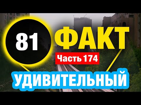 Видео: 81 Случайный Факт
