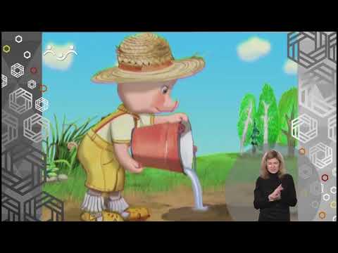 Видео: Доброе Слово. Нюка. Лужа