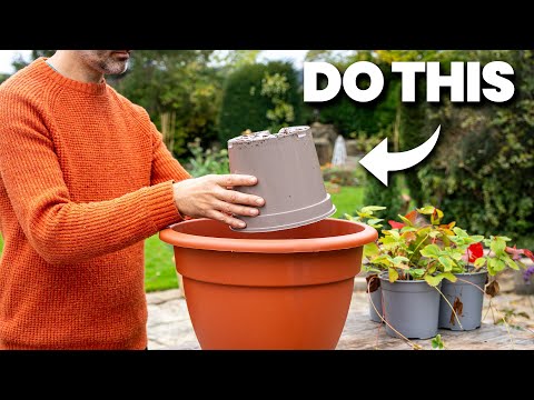 Видео: 6 гениальных способов сэкономить целое состояние на почве для рассады