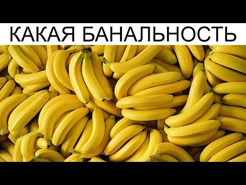 Видео: Дневная подборка мемов 847