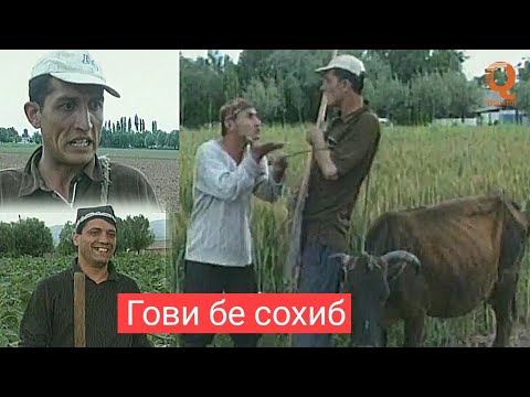 Видео: Махфилоро - Гови бе сохиб