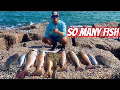 Видео: Рыбалка с причала: МЯСНОЙ УЛОВ! **ЧАСТЬ 1** (Корпус-Кристи, Техас)