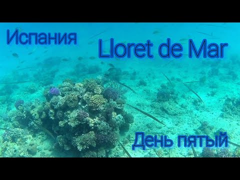 Видео: Lloret de Mar  Испания день пятый 