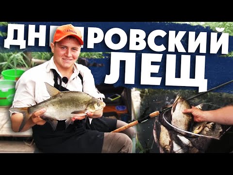 Видео: Ловля ЛЕЩА на ДИКОМ ДНЕПРЕ! Секреты и тонкости от Алексея Пугача!