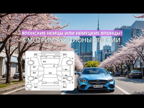 Видео: Японские немцы. Смотрим на аукционе Японии, немецкие автомобили. Цены впечатляют.