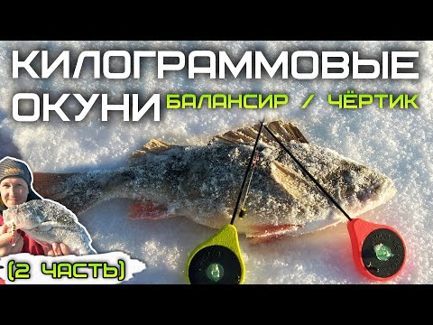 Видео: Ловля КРУПНОГО окуня на балансир и чертика зимой / зимняя рыбалка 2021
