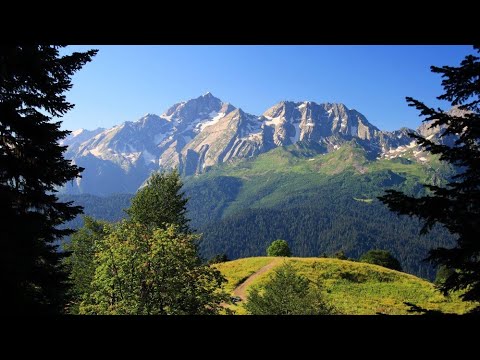 Видео: "Наш Сочи" выпуск 61