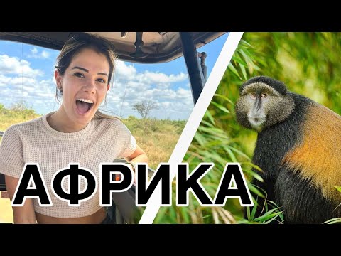 Видео: СПАХ В ХОТЕЛ С МАЙМУНИ