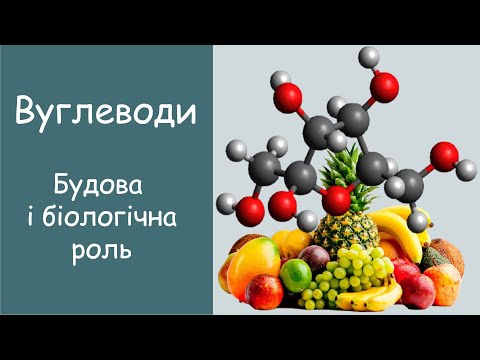 Видео: Вуглеводи