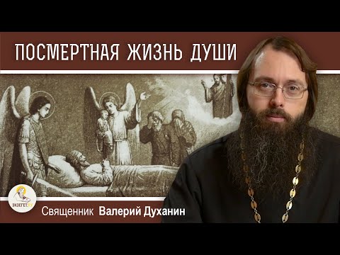 Видео: ПОСМЕРТНАЯ ЖИЗНЬ ДУШИ. 3-й, 9-й, 40-й день. Священник Валерий Духанин