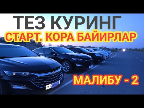 Видео: МАЛИБУЛАРНИ ФИНАЛИ 15- СЕНТЯБРЬ ХАММАГА ОМАД