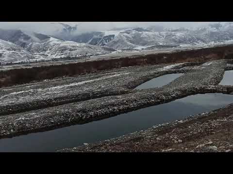 Видео: Форелевое хозяйство в Кеминском районе.