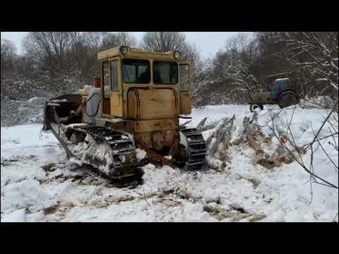 Видео: Едем в лес за дровами на бульдозере ЧТЗ Т130 Т170.