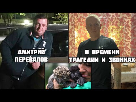 Видео: Муж Леокадии Переваловой о времени трагедии и звонках на телефоне / парк львов Тайган