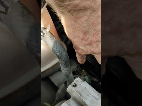 Видео: Регулировка клапанов Матиз