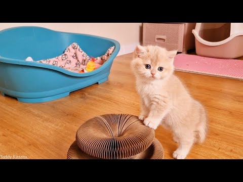 Видео: Мы весело поиграли и пошли спатки 🥰